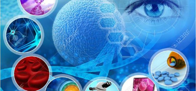 Proyectos nacionales en ejecución – año 2020 Proyectos nacionales en ejecución – año 2020